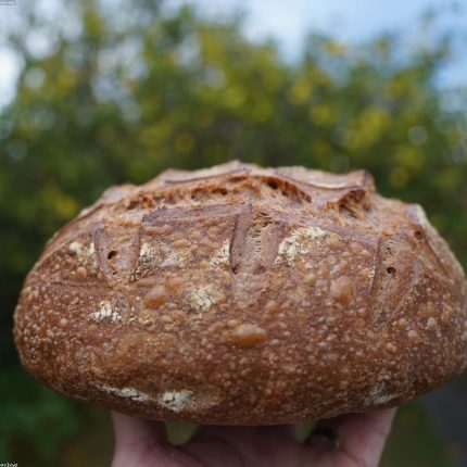 Pan de pueblo artesano