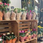 Floristería Marí